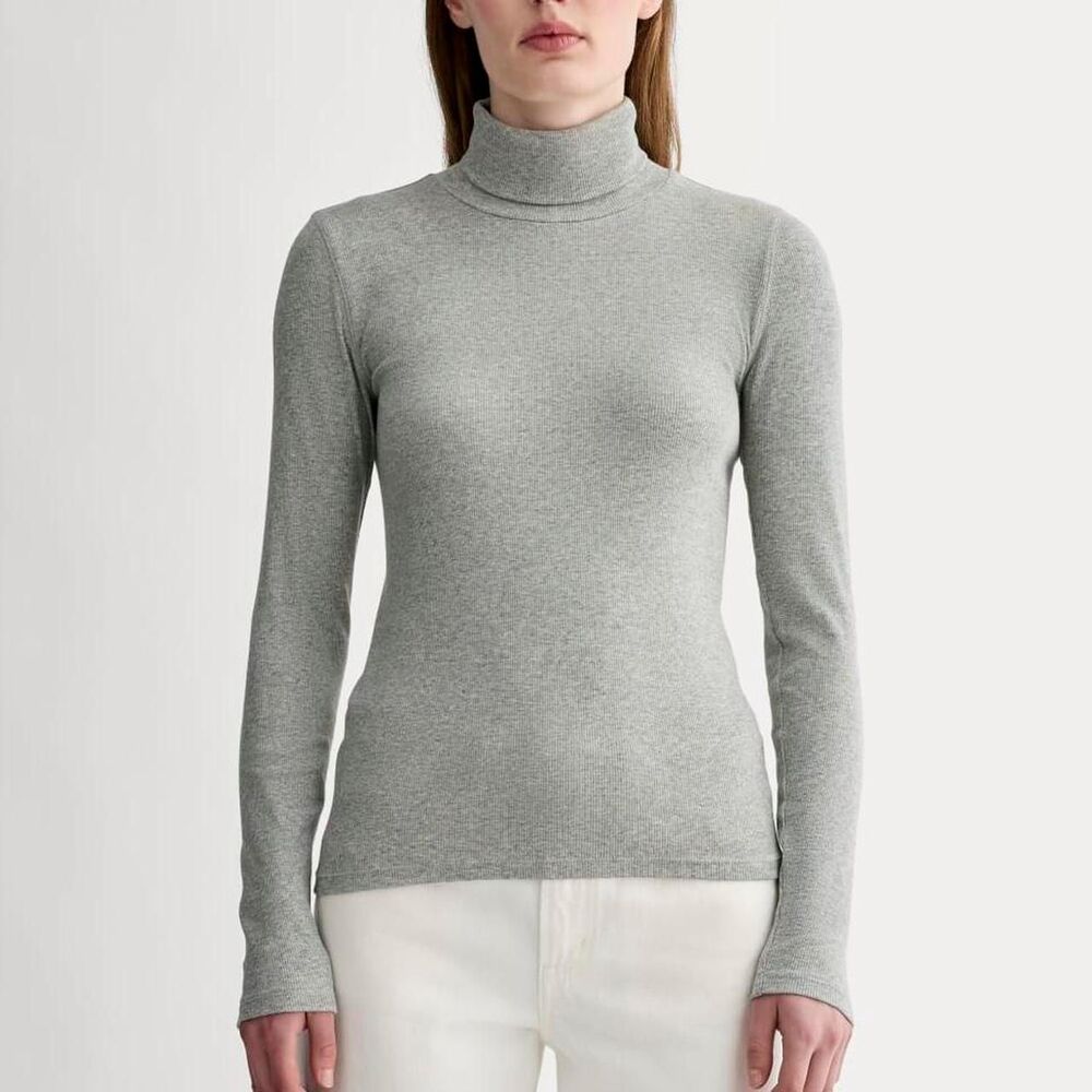 Everlane Luxe Rib Cotton Turtleneck in Grey